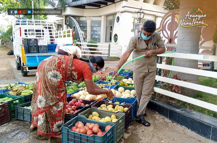 Food Parcel Delivery