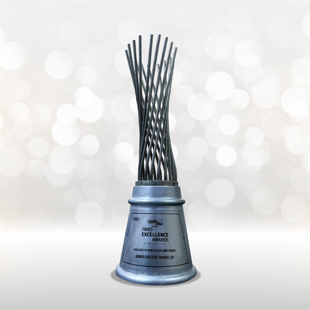 Times Excellence Award