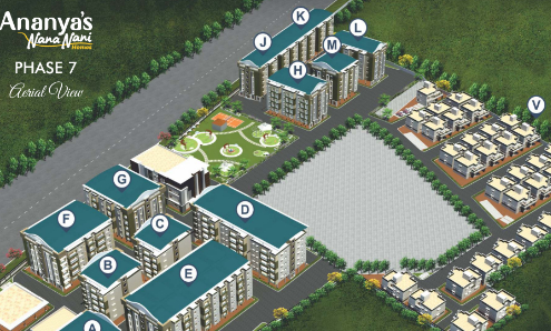 PHASE VII